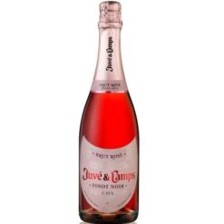 Juve & Camps Pinot Noir Brut Rose