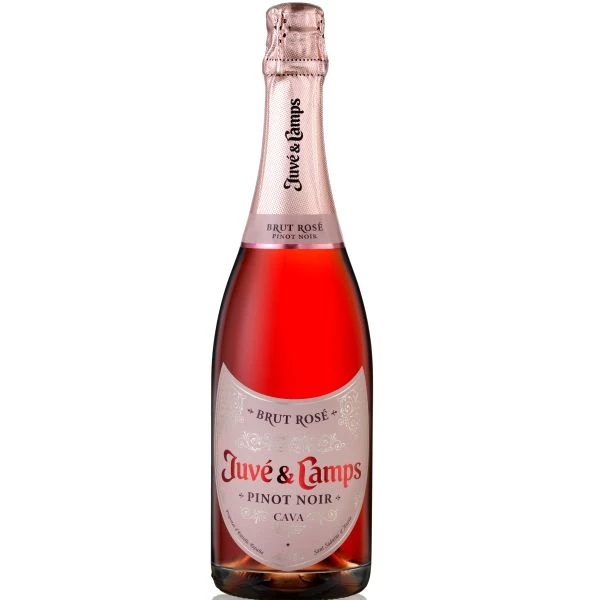 Juve & Camps Pinot Noir Brut Rose 1 Juve & Camps Pinot Noir Brut Rose