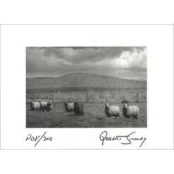 Robert Sinskey Point Of View 2018 6 Robert Sinskey Point Of View 2018 -Sena Sales Store epc5wtk14cc2jxynuvl7