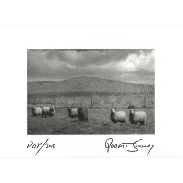 Robert Sinskey Point Of View 2018 3 Robert Sinskey Point Of View 2018 - Image 3