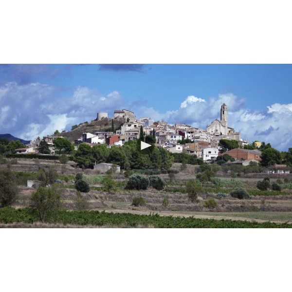 Clos Amador Cava Tendre Rose 3 Clos Amador Cava Tendre Rose - Image 3