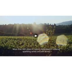 Codorniu Anna De Codorniu Cava Brut Rose -Sena Sales Store gsuryk7hiuee9qwyuv1m