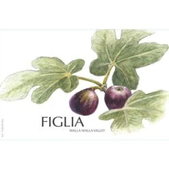 Figgins Figlia 2020 3 Figgins Figlia 2020 -Sena Sales Store ke6x97ec3drutwubsmy9