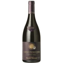 Michel Magnien Coteaux Bourguignons Pinot Noir 2021