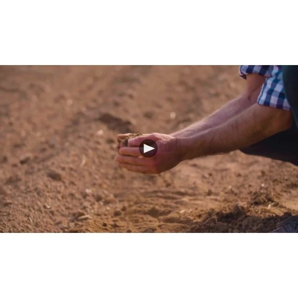 Ziobaffa Organic Pinot Grigio 2022 3 Ziobaffa Organic Pinot Grigio 2022 - Image 3