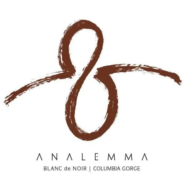 Analemma Wines Columbia Gorge Blanc De Noir 2016 2 Analemma Wines Columbia Gorge Blanc De Noir 2016 - Image 2