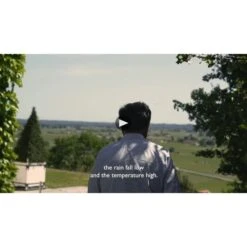 Chateau Quintus 2019 -Sena Sales Store tx1hukr30se4wr8ogwj8