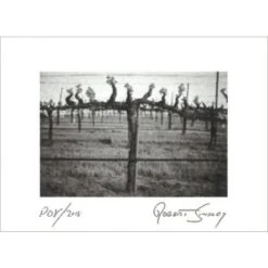 Robert Sinskey Point Of View 2018 7 Robert Sinskey Point Of View 2018 -Sena Sales Store xhkusvuy376ard2f1okt