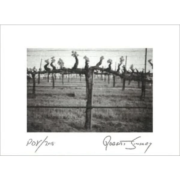 Robert Sinskey Point Of View 2018 4 Robert Sinskey Point Of View 2018 - Image 4