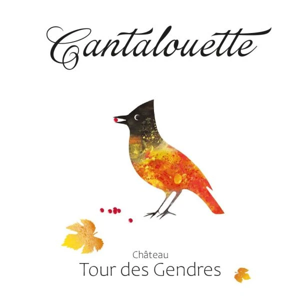 Tour Des Gendres Bergerac Cantalouette Rouge 2021 2 Tour Des Gendres Bergerac Cantalouette Rouge 2021 - Image 2